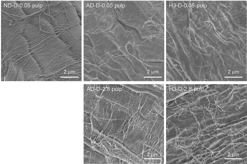 Changes in water-vapor-adsorption isotherms of pulp fibers and sheets during paper recycling, including drying of wet webs, and disintegration and sonication of dried sheets in water