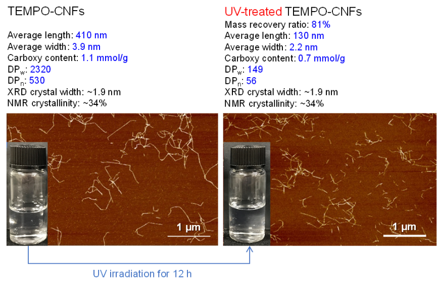 Effects of UV irradiation of TEMPO‑oxidized cellulose nanofibril/water dispersions on chemical structure, molar mass, and morphology