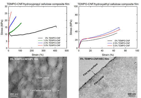 Nanocellulose-containing cellulose ether composite films prepared from aqueous mixtures by casting and drying method