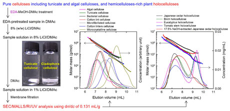 Analysis of celluloses, plant holocelluloses, and wood pulps by size-exclusion chromatography/multi-angle laser-light scattering