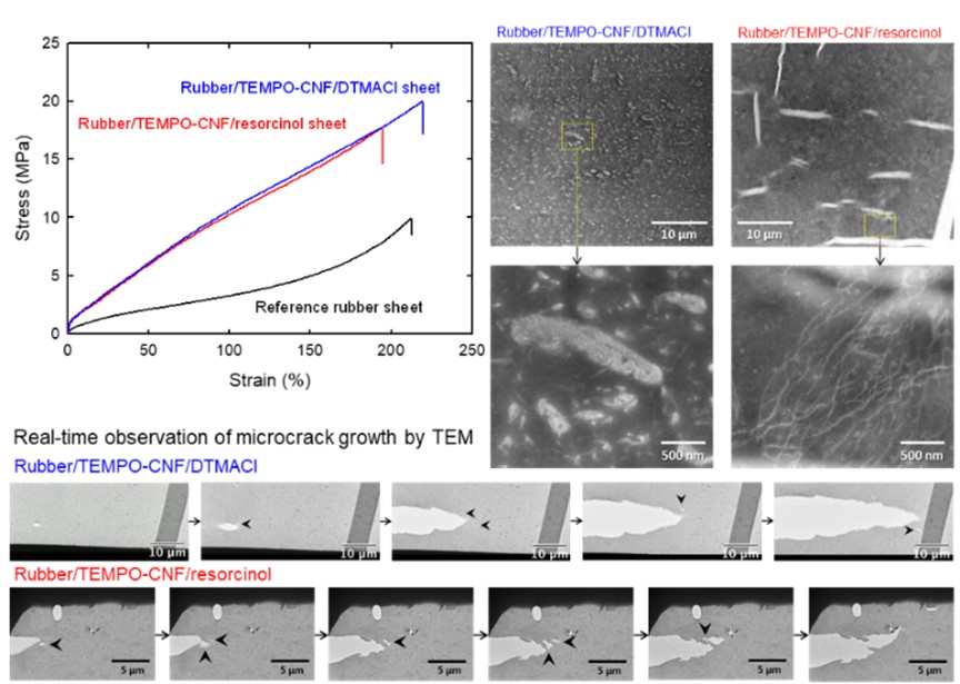 Real-time observation of microcrack growth in nanocellulose/rubber composite sheets during tensile deformation process