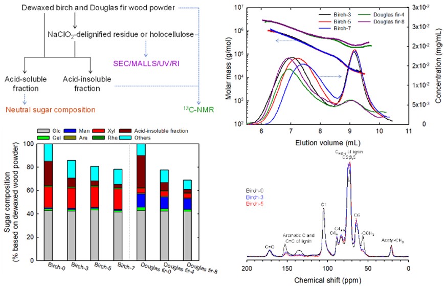 Changes in neutral sugar composition, molar mass and molar mass distribution, and solid-state structures of birch and Douglas fir by repeated sodium chlorite delignification